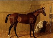 'Touchstone', a bay racehorse in a loosebox - John Frederick Herring Snr