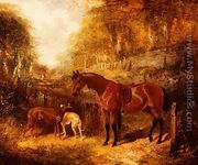 A saddled bay pony and greyhounds in a wooded river landscape - John Frederick Herring, Jnr.