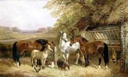 Farm Animals in a Landscape - John Frederick Herring, Jnr.