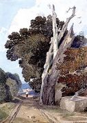 A Spanish Chestnut Tree Struck by Lightning - John Sell Cotman