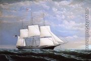 Whaleship 'Syren Queen' of Fairhaven - William Bradford