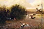 Duck Shooting - Arthur Fitzwilliam Tait