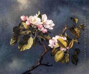 Apple Blossoms 2 - Martin Johnson Heade