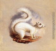 White Squirrel - Titian Ramsay  Peale