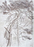 Study of Trees - James Ward