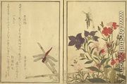 Chinese ballon flower and reptiles and flowers, from an illustrated book on flowers, insects and reptiles - Kitagawa Utamaro