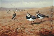 Lapwings on the Plough, 1901 - Archibald Thorburn