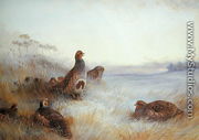 Partridges in Early Morning, 1910 - Archibald Thorburn