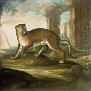 A Jaguar - Andrea Scacciati