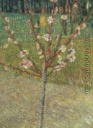 Almond Tree In Blossom - Vincent Van Gogh