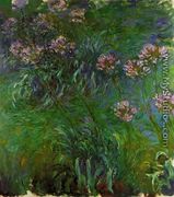 Agapanathus - Claude Oscar Monet