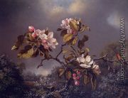 Apple Blossoms And Hummingbird - Martin Johnson Heade