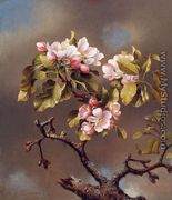 Branch Of Apple Blossoms Against A Cloudy Sky - Martin Johnson Heade