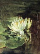 Single Water Lily In Sunlight - John La Farge